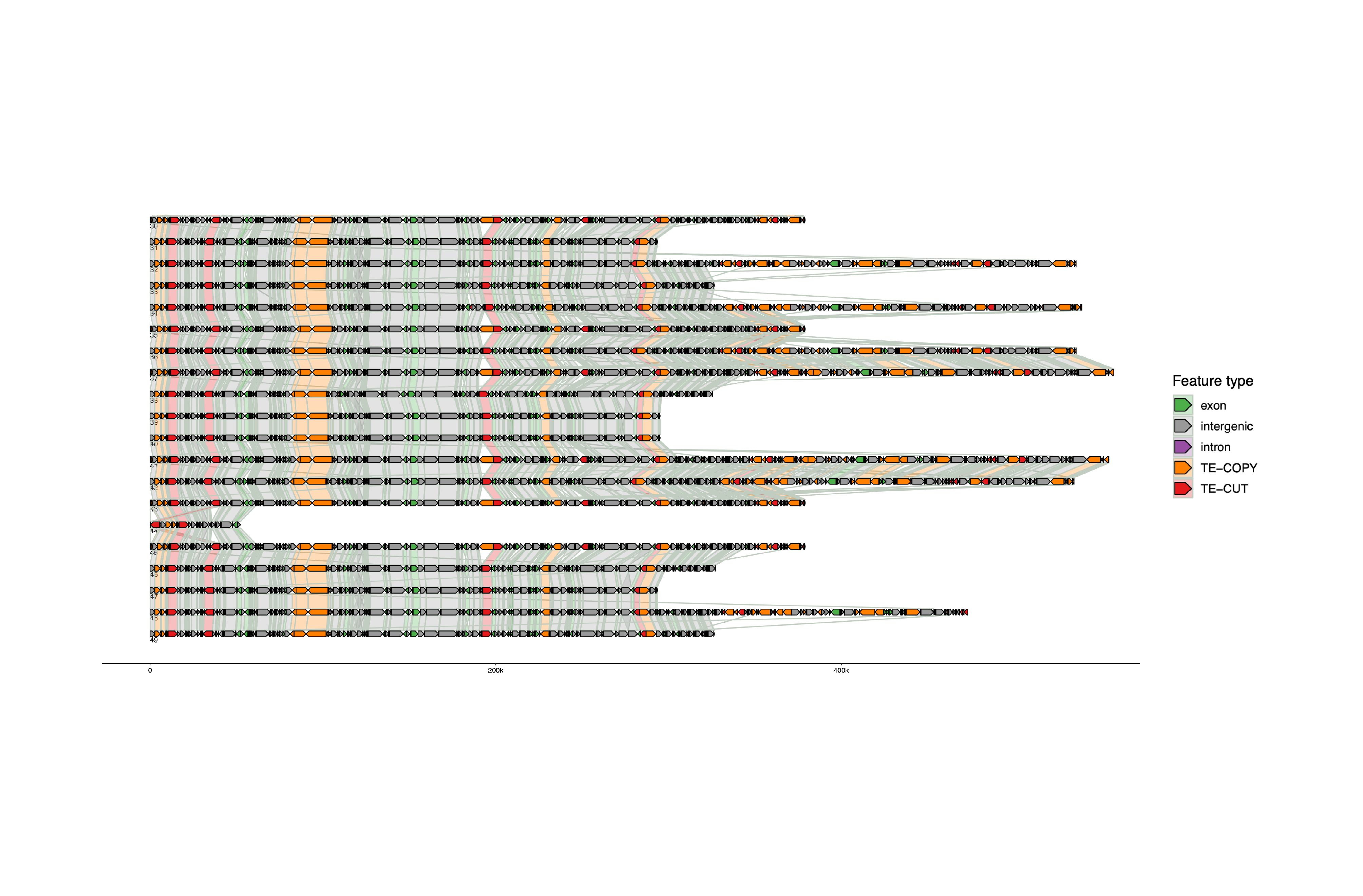 Simulation of fungal pangenomes
