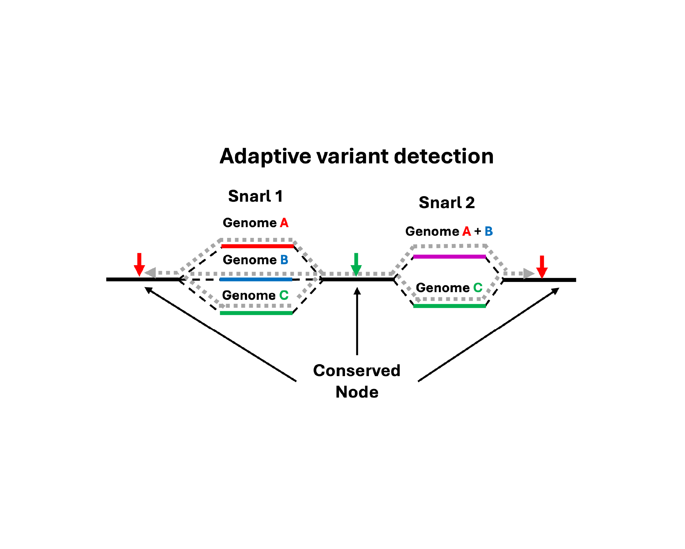 Machine-learning approaches to study fungal pangenomes